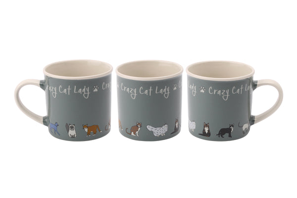 Paws For Thought Crazy Cat Lady Stoneware Mug - Culzean Gifts