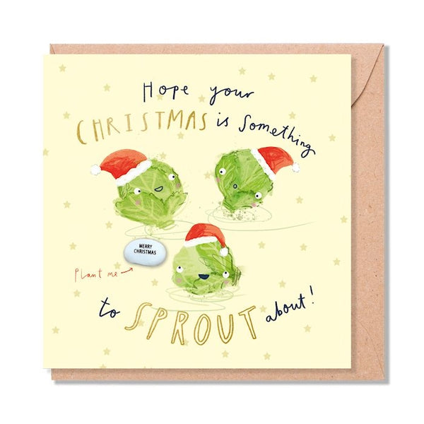 Card With Magic Growing Bean - Sprouts