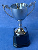 Trophy Cup - Available Engraved Personalised