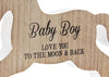 Rocking Horse Plaque Baby Boy 20cm - Culzean Gifts