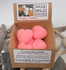 Box of 20 Soy Wax Melts - Simply Christmas