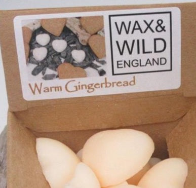 Box of 20 Soy Wax Melts Warm Gingerbread