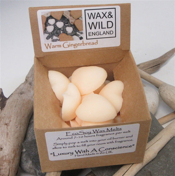 Box of 20 Soy Wax Melts Warm Gingerbread