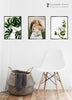 A3 Portrait Glass Photo Print Including Choice Of Nielson Frame - Culzean Gifts