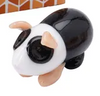 Glass Guinea Pigs
