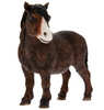 SHETLAND PONY