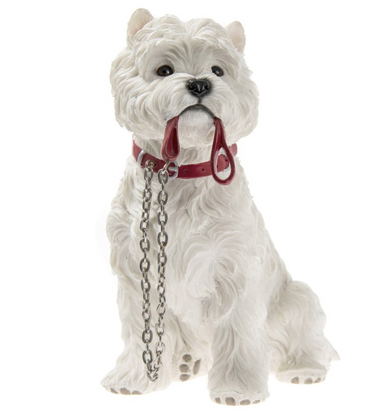 WALKIES WESTIE SITTING