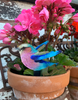 Small Perspex® Garden Bird Sticks - 2 Pack - Culzean Gifts
