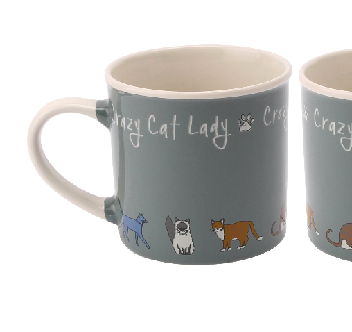 Paws For Thought Crazy Cat Lady Stoneware Mug - Culzean Gifts