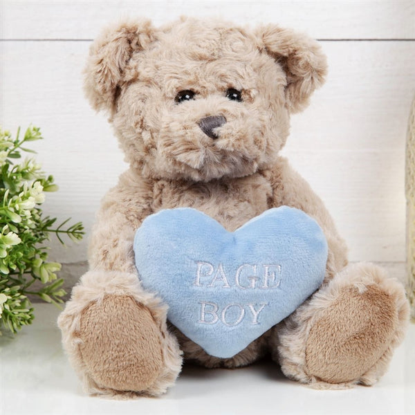 Will You Be My Page Boy Teddy Bear 20cm