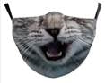 Reusable Face Mask - Tabby Cat