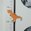 Wooden Dinosaur Height Chart with Photos & Magnetic Slider - Culzean Gifts