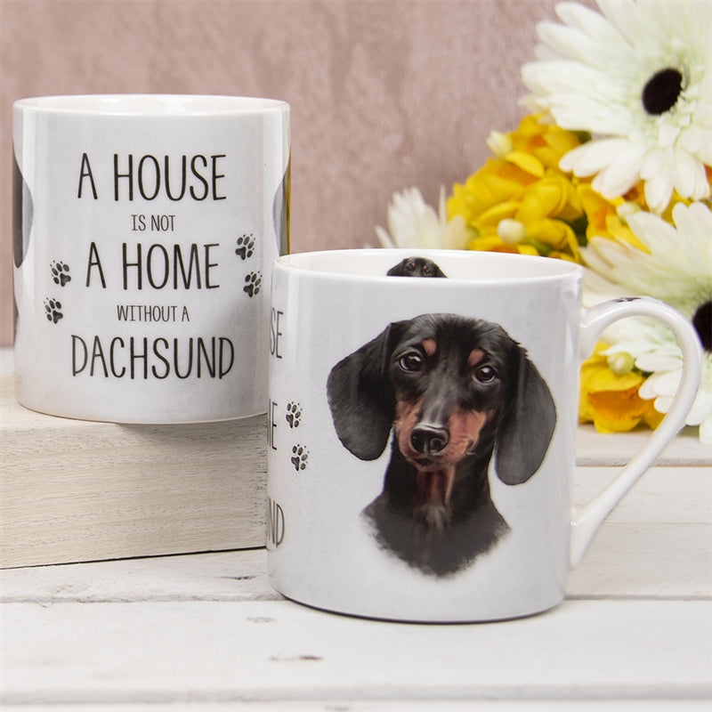House Not Home Mug - Dachshund