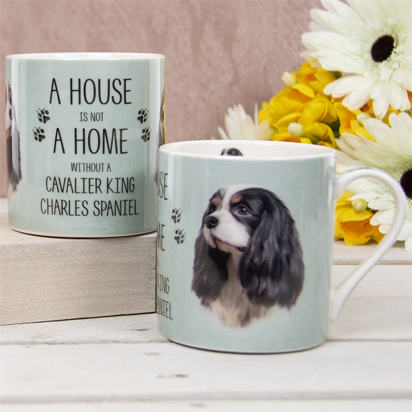 House Not Home Mug - King Charles Spaniel