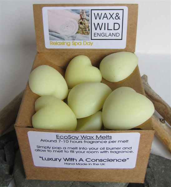 Box of 20 Soy Wax Melts - Relaxing Spa Day