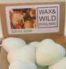 Box of 20 Soy Wax Melts - Spiced Apple