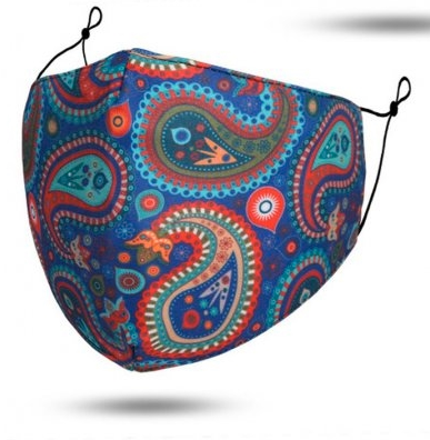 Paisley Reusable Face Mask With Filters