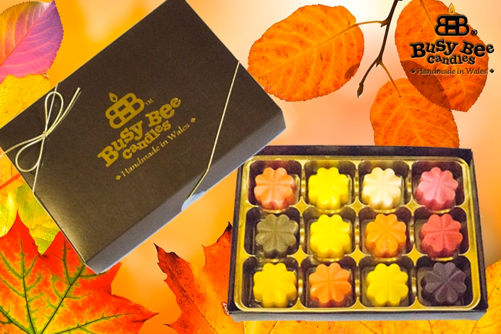 Autumn Wax Tart Selection Box
