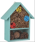Colourful Insect Hotel